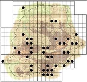 Hypolycaena philippus Waterberg distribution